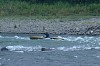 DSCF0011