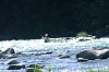 DSCF0047