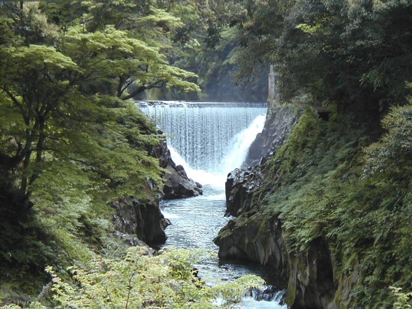 �V�΂̒��c���i�{�茧�O�Ғ��j