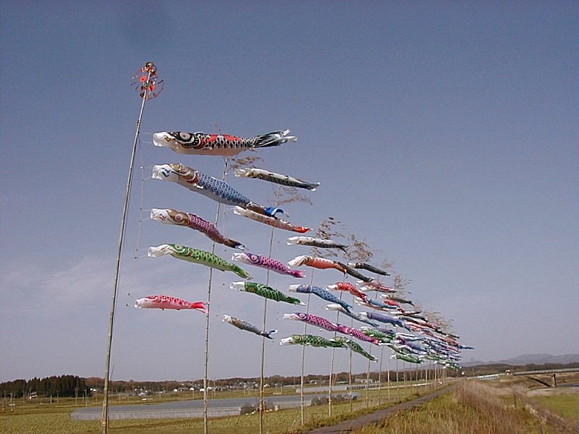 ������̌�̂ڂ�i�{�茧�s��s�j