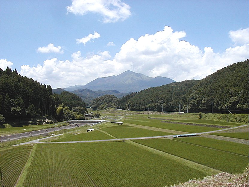 �r������猩���~�J�̐���Ԃ̖����i������j